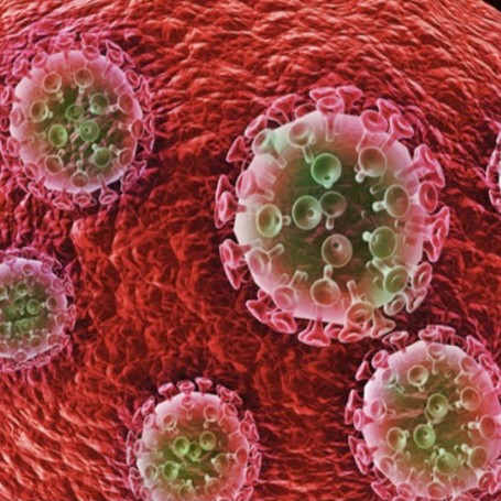 illustration du VIH